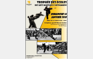 TROPHÉE DES ÉCOLES DES ARTS MARTIAUX VIETNAMIENS  POISSY (78)